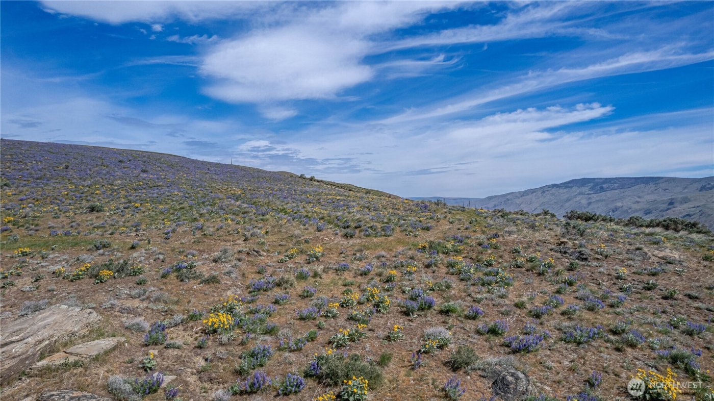 0 Lot 2 Burch Mountain Road , Wenatchee, WA 98801