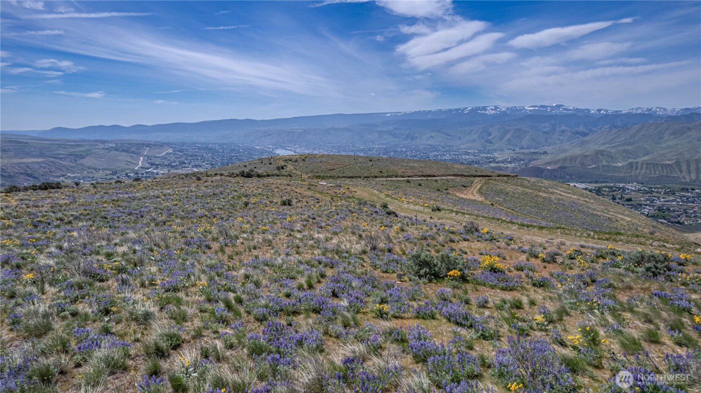 0 Lot 2 Burch Mountain Road , Wenatchee, WA 98801