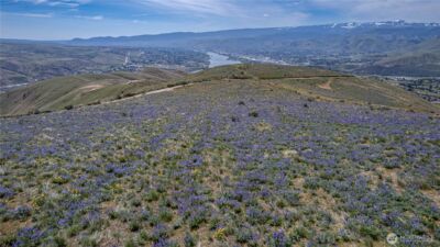 0 Lot 2 Burch Mountain Road , Wenatchee, WA 98801 - Photo 15