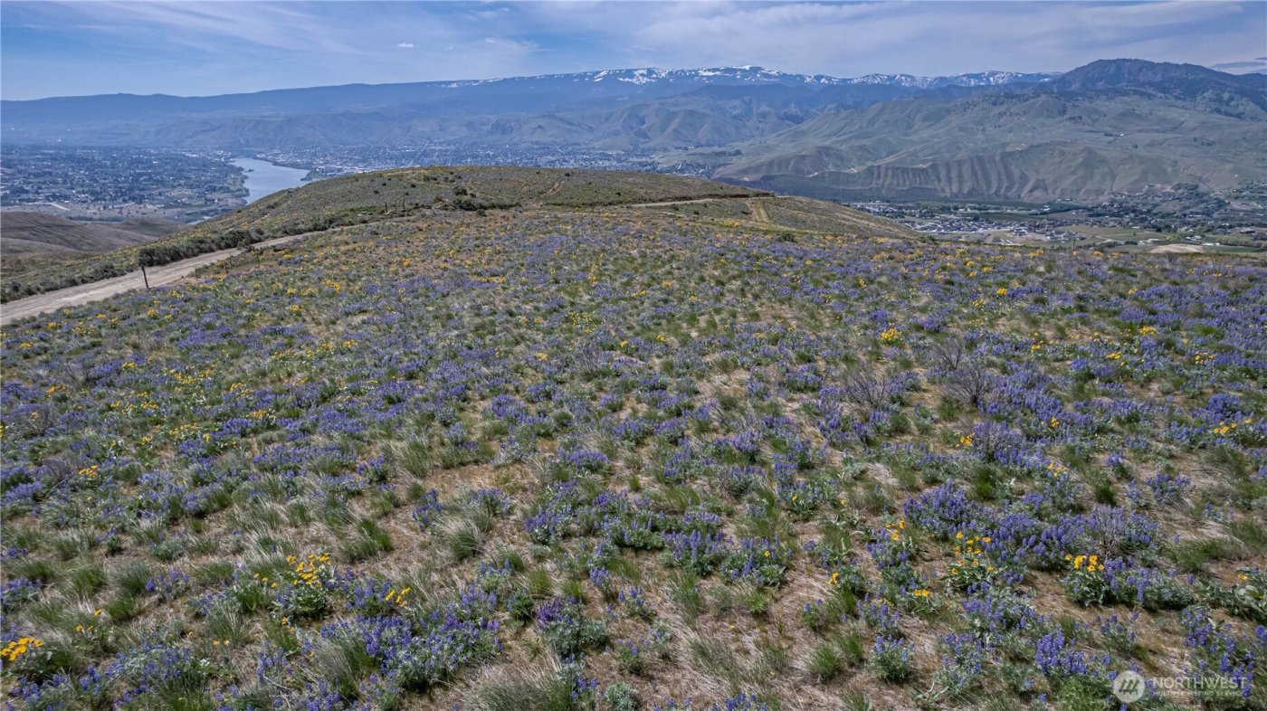 0 Lot 2 Burch Mountain Road , Wenatchee, WA 98801