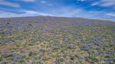 0 Lot 2 Burch Mountain Road , Wenatchee, WA 98801 - Photo 16