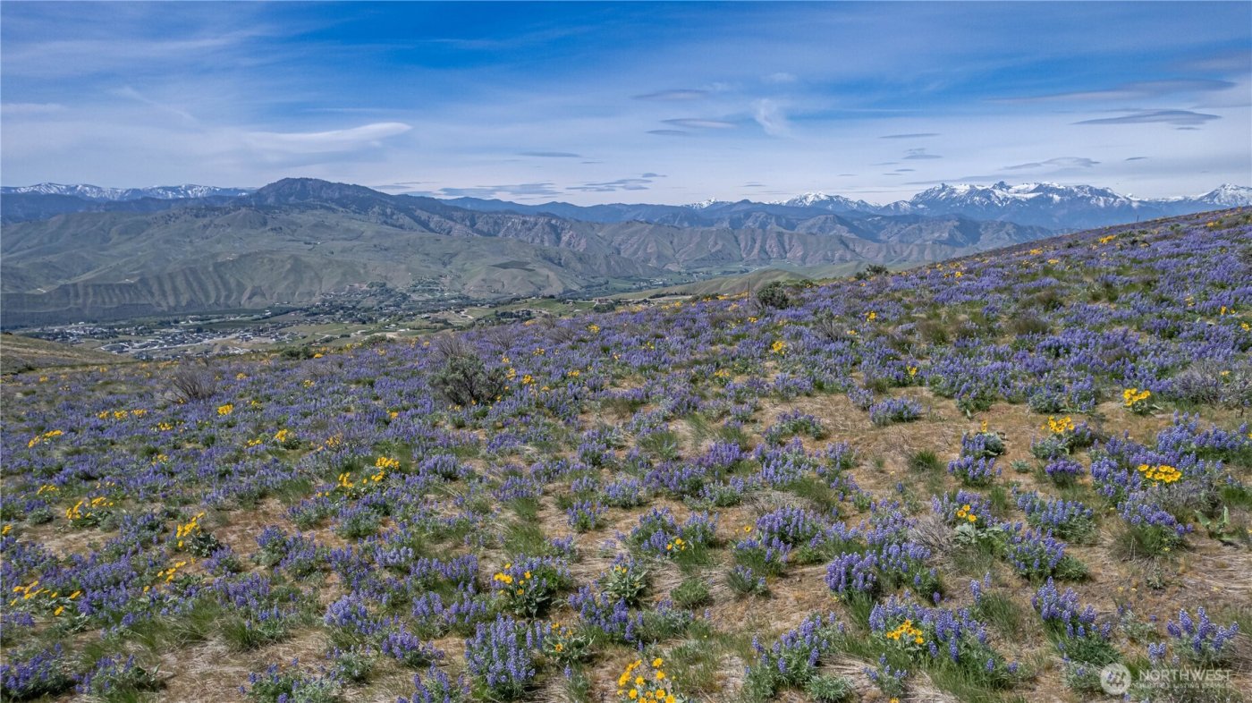 0 Lot 2 Burch Mountain Road , Wenatchee, WA 98801