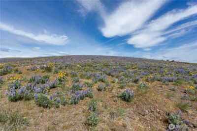 0 Lot 2 Burch Mountain Road , Wenatchee, WA 98801 - Photo 2