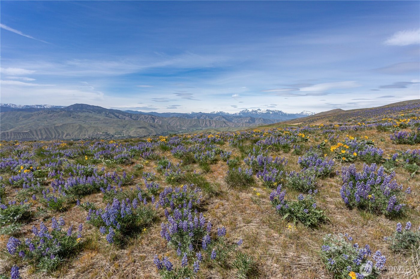 0 Lot 2 Burch Mountain Road , Wenatchee, WA 98801