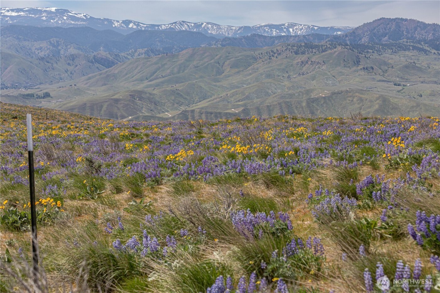 0 Lot 2 Burch Mountain Road , Wenatchee, WA 98801