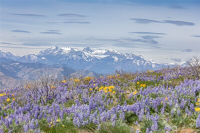 0 Lot 2 Burch Mountain Road , Wenatchee, WA 98801 - Photo 4