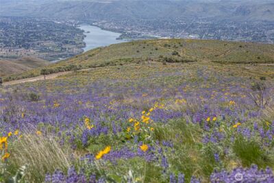 0 Lot 2 Burch Mountain Road , Wenatchee, WA 98801 - Photo 5