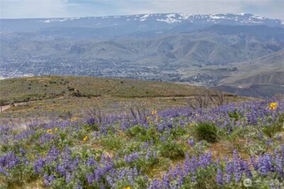 0 Lot 2 Burch Mountain Road , Wenatchee, WA 98801 - Photo 6