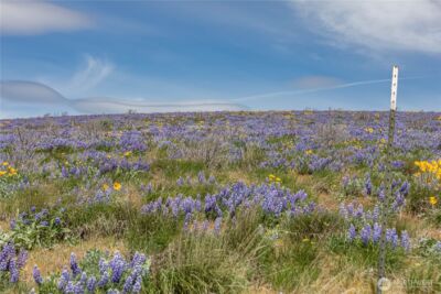 0 Lot 2 Burch Mountain Road , Wenatchee, WA 98801 - Photo 7