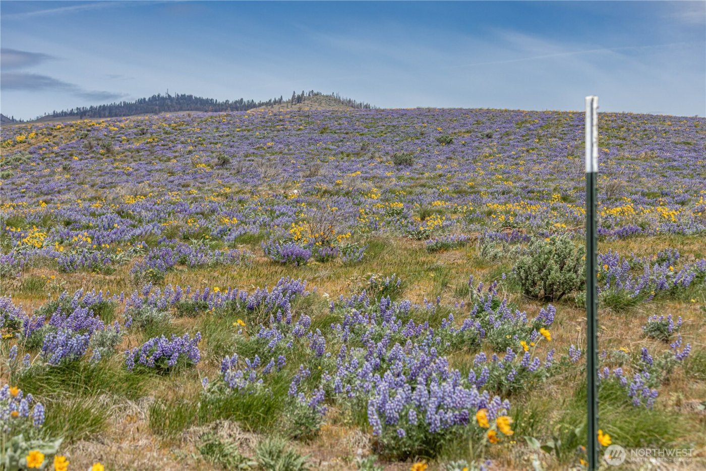 0 Lot 2 Burch Mountain Road , Wenatchee, WA 98801