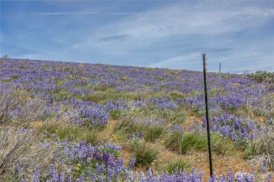 0 Lot 2 Burch Mountain Road , Wenatchee, WA 98801 - Photo 9