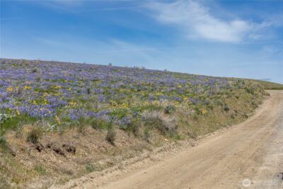 0 Lot 2 Burch Mountain Road , Wenatchee, WA 98801 - Photo 10