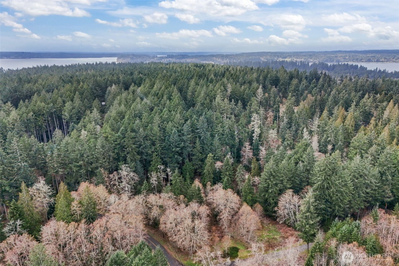 12613 Camus Road , Anderson Island, WA 98303