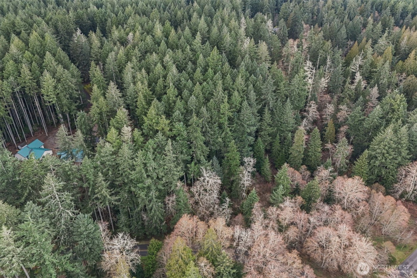 12613 Camus Road , Anderson Island, WA 98303