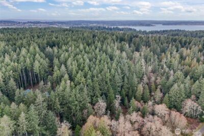 12613 Camus Road , Anderson Island, WA 98303 - Photo 12