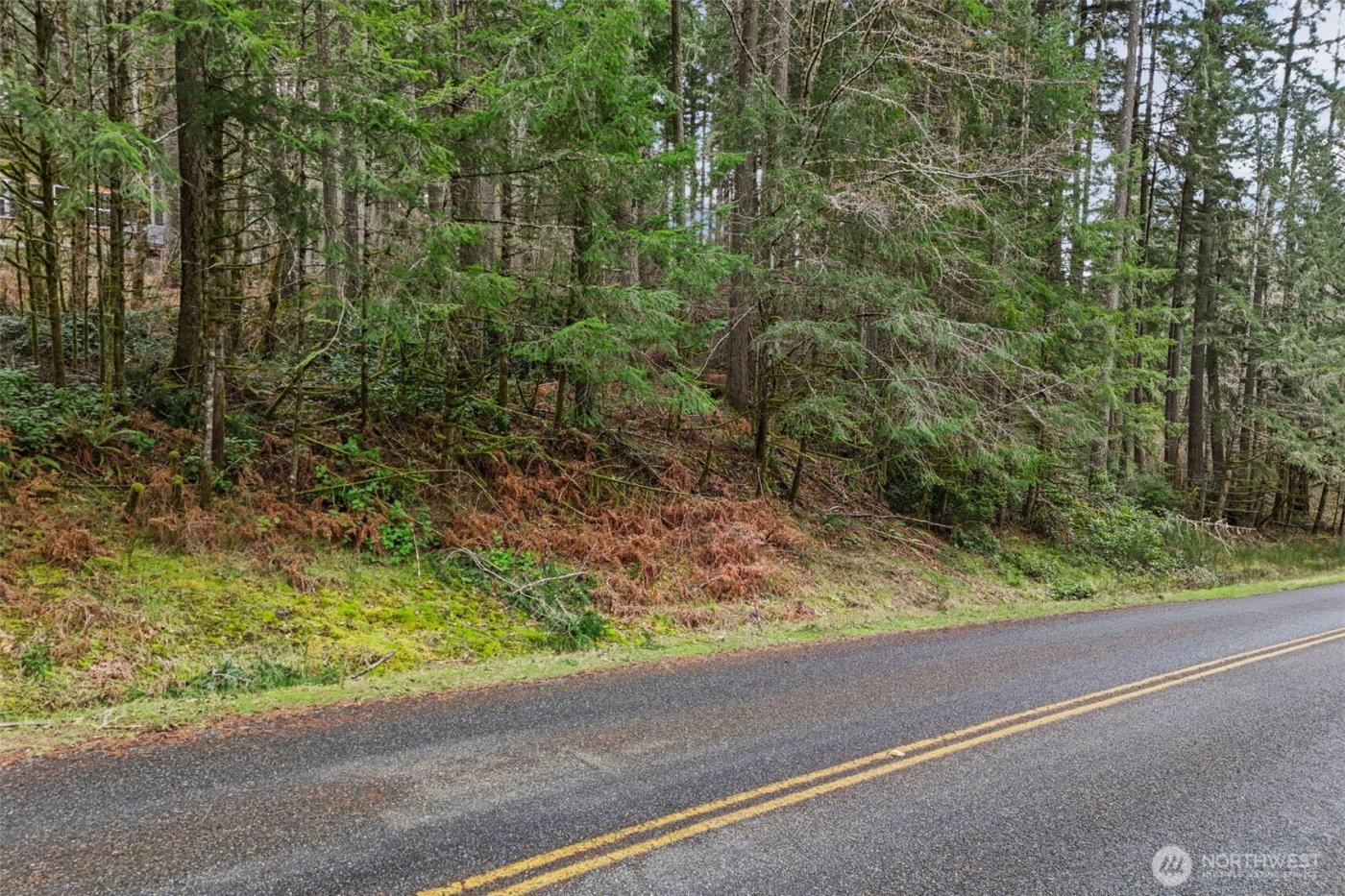 12613 Camus Road , Anderson Island, WA 98303