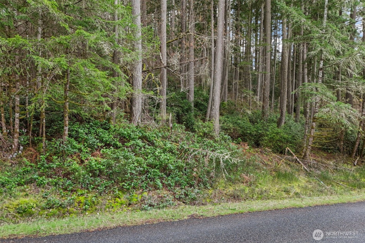 12613 Camus Road , Anderson Island, WA 98303