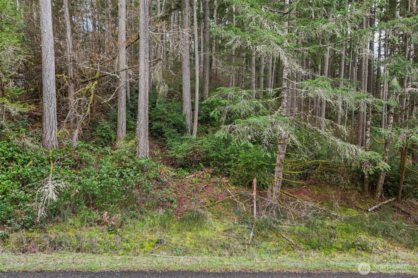 12613 Camus Road , Anderson Island, WA 98303