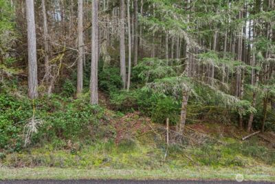 12613 Camus Road , Anderson Island, WA 98303 - Photo 16