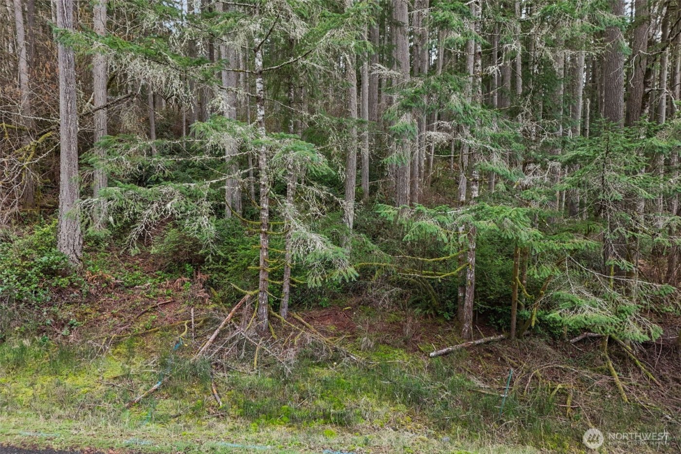 12613 Camus Road , Anderson Island, WA 98303