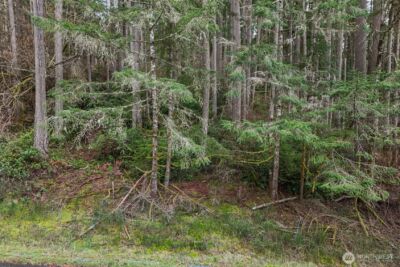 12613 Camus Road , Anderson Island, WA 98303 - Photo 17