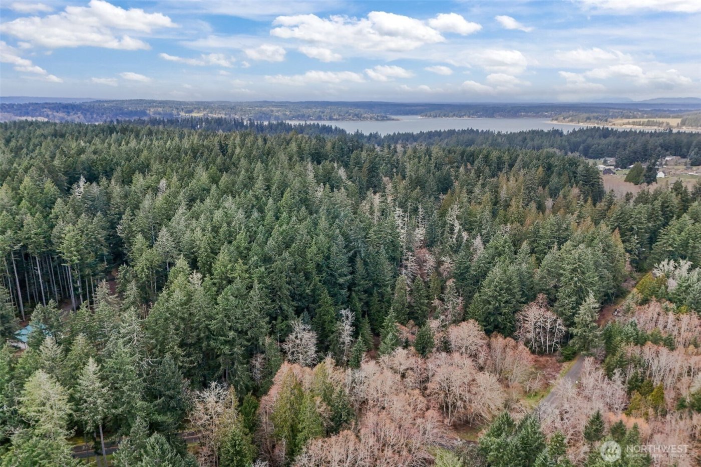 12613 Camus Road , Anderson Island, WA 98303