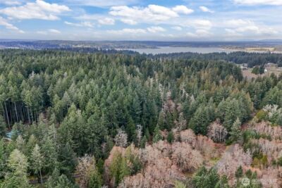 12613 Camus Road , Anderson Island, WA 98303 - Photo 3