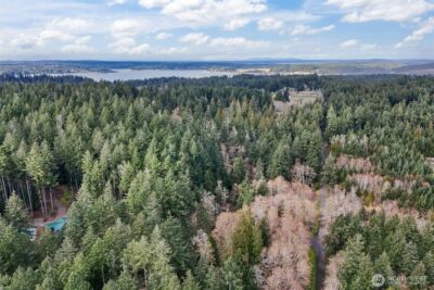 12613 Camus Road , Anderson Island, WA 98303 - Photo 4