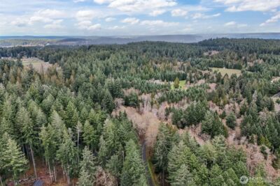 12613 Camus Road , Anderson Island, WA 98303 - Photo 7