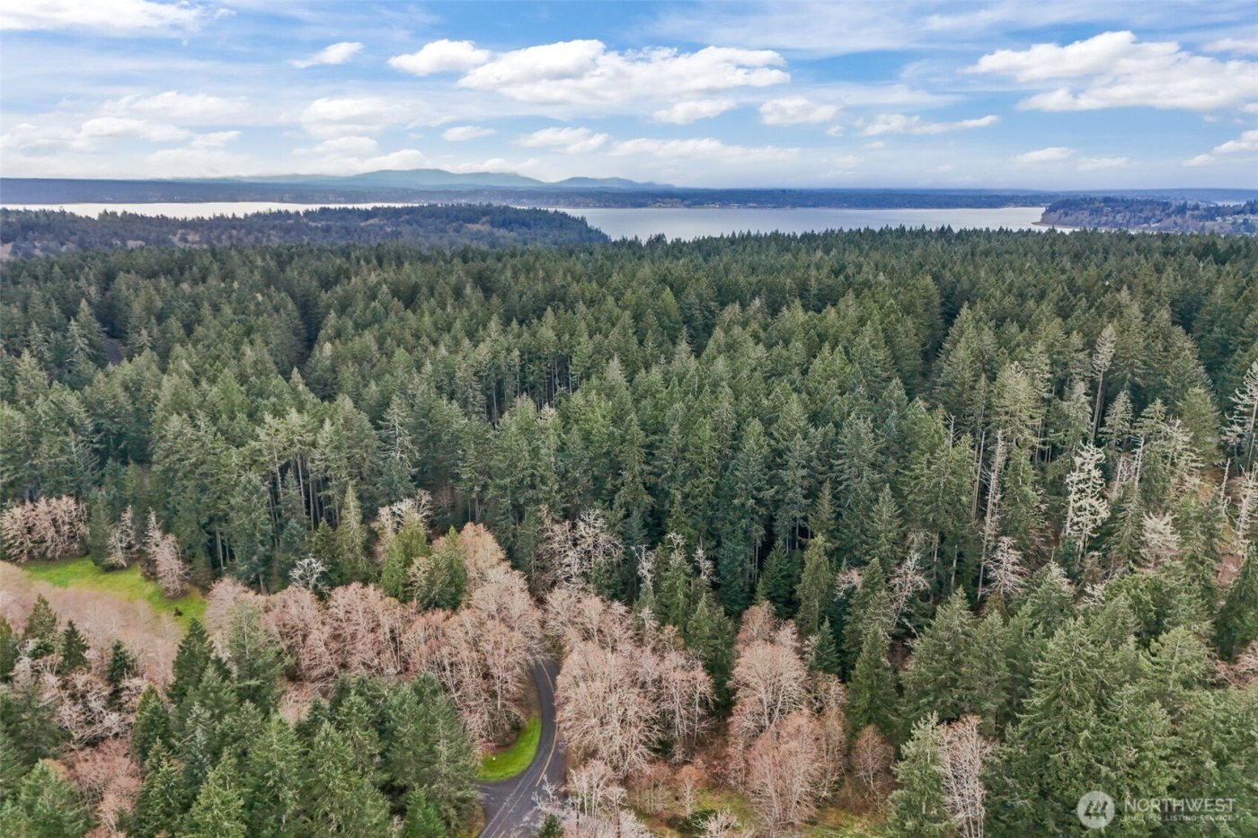 12613 Camus Road , Anderson Island, WA 98303