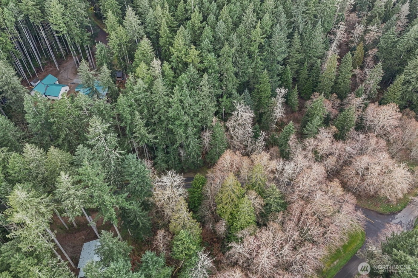 12613 Camus Road , Anderson Island, WA 98303