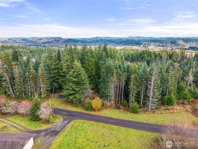 2700 Mallis Landing Road , Raymond, WA 98577 - Photo 29