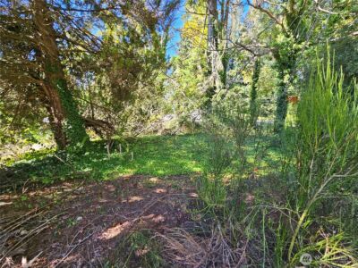 22550 NE SR-3 Highway , Belfair, WA 98528 - Photo 11
