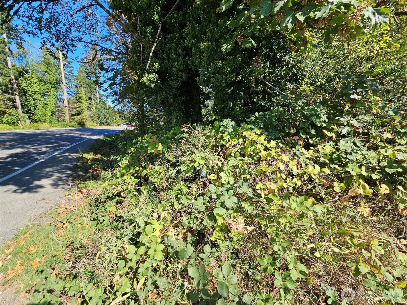 22550 NE SR-3 Highway , Belfair, WA 98528