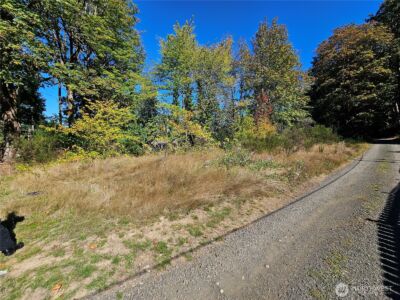 22550 NE SR-3 Highway , Belfair, WA 98528 - Photo 6