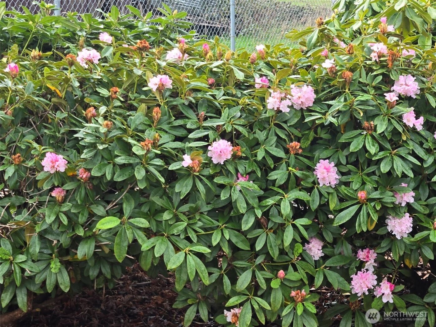 212 Old Owen Road #59, Sultan, WA 98294-9755