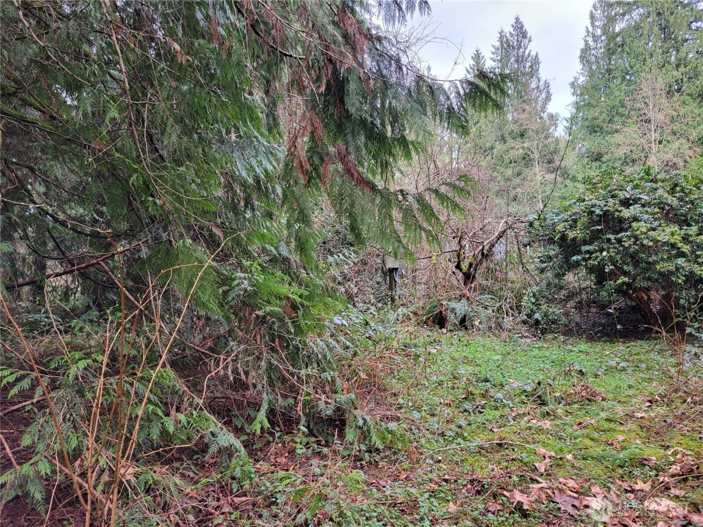 5603 E Lake Bosworth Drive , Snohomish, WA 98290