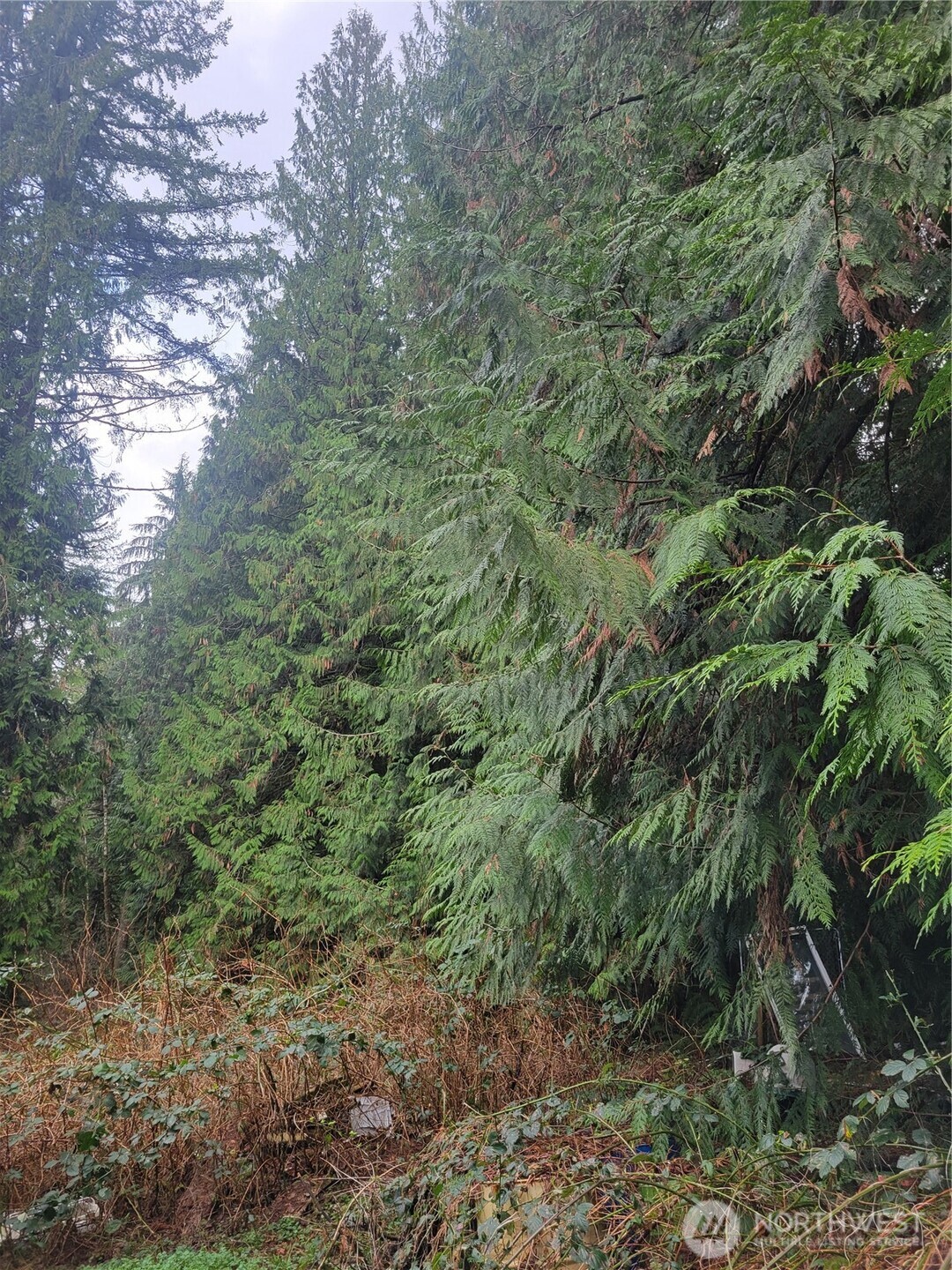 5603 E Lake Bosworth Drive , Snohomish, WA 98290