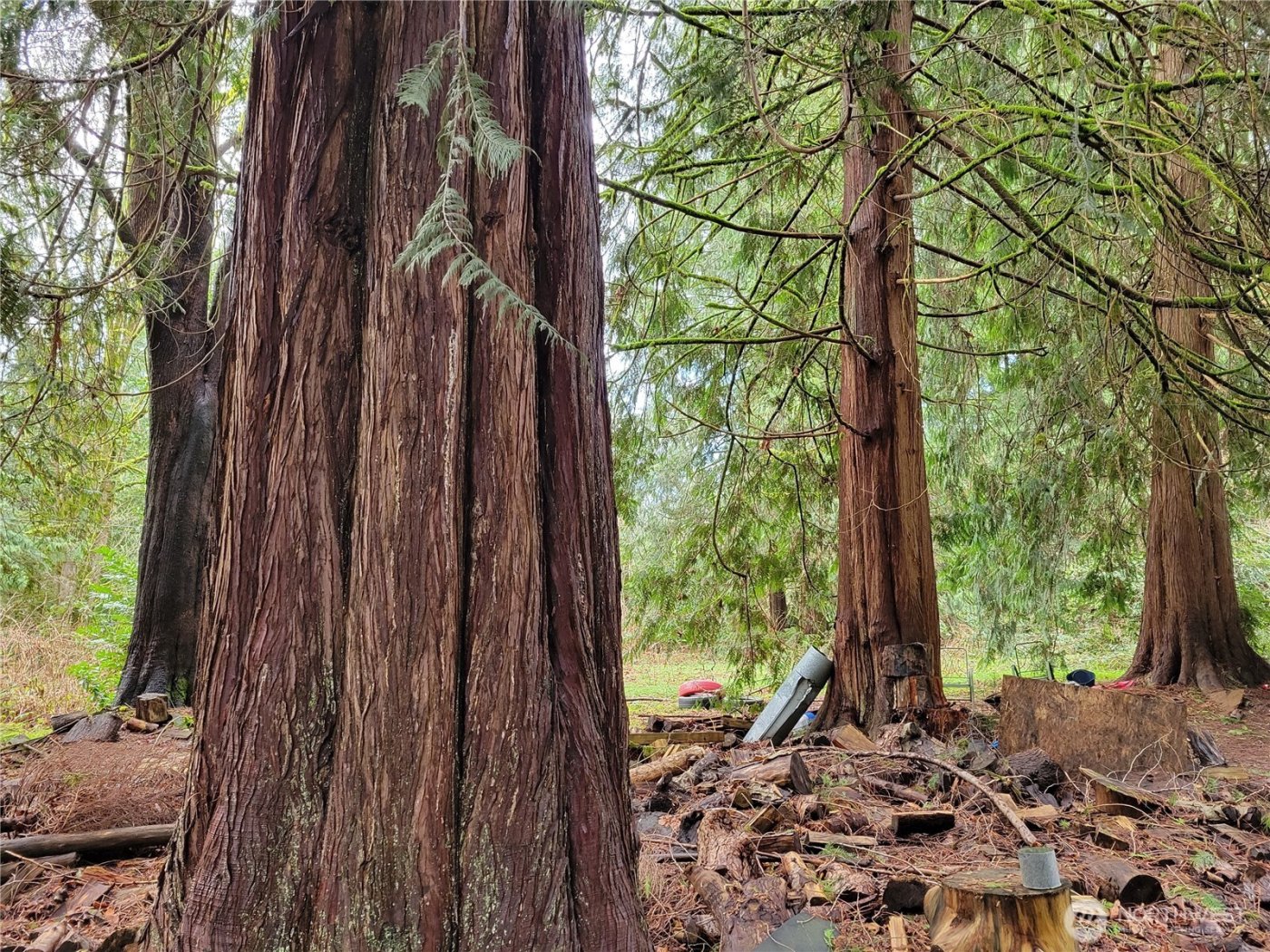 5603 E Lake Bosworth Drive , Snohomish, WA 98290