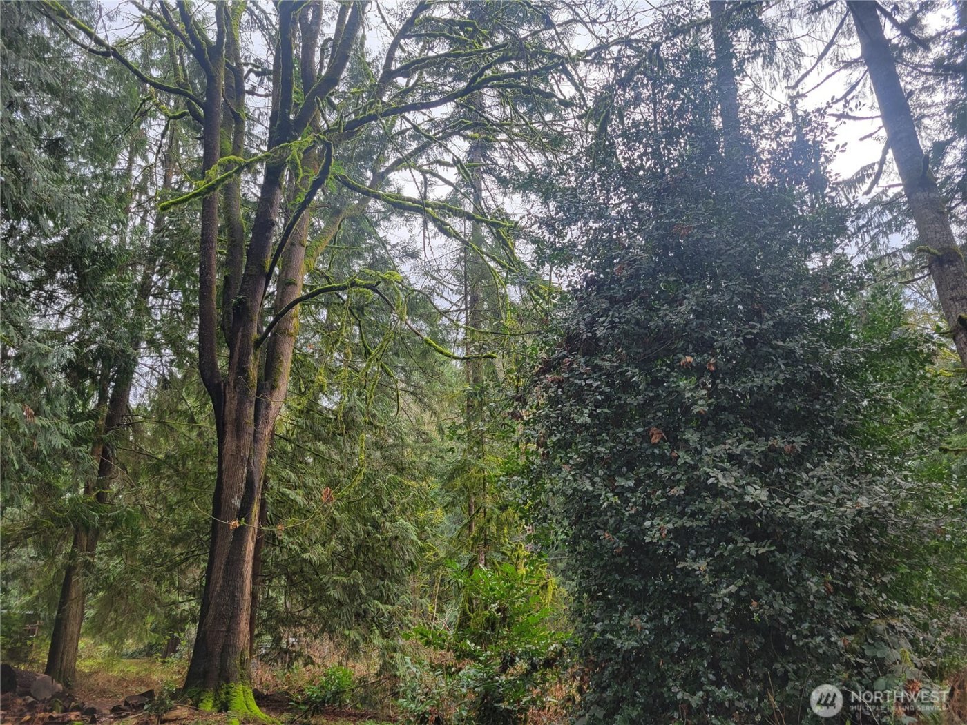 5603 E Lake Bosworth Drive , Snohomish, WA 98290