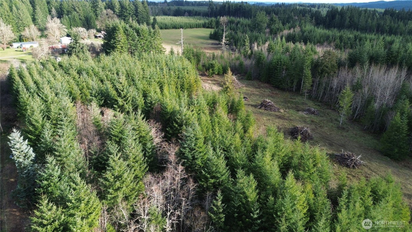 9605 Prather Road SW, Rochester, WA 98579