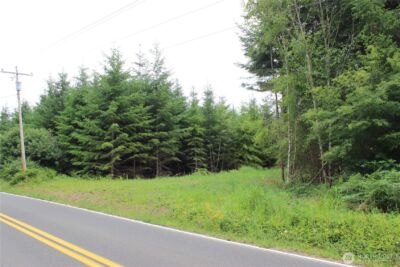 9605 Prather Road SW, Rochester, WA 98579 - Photo 3