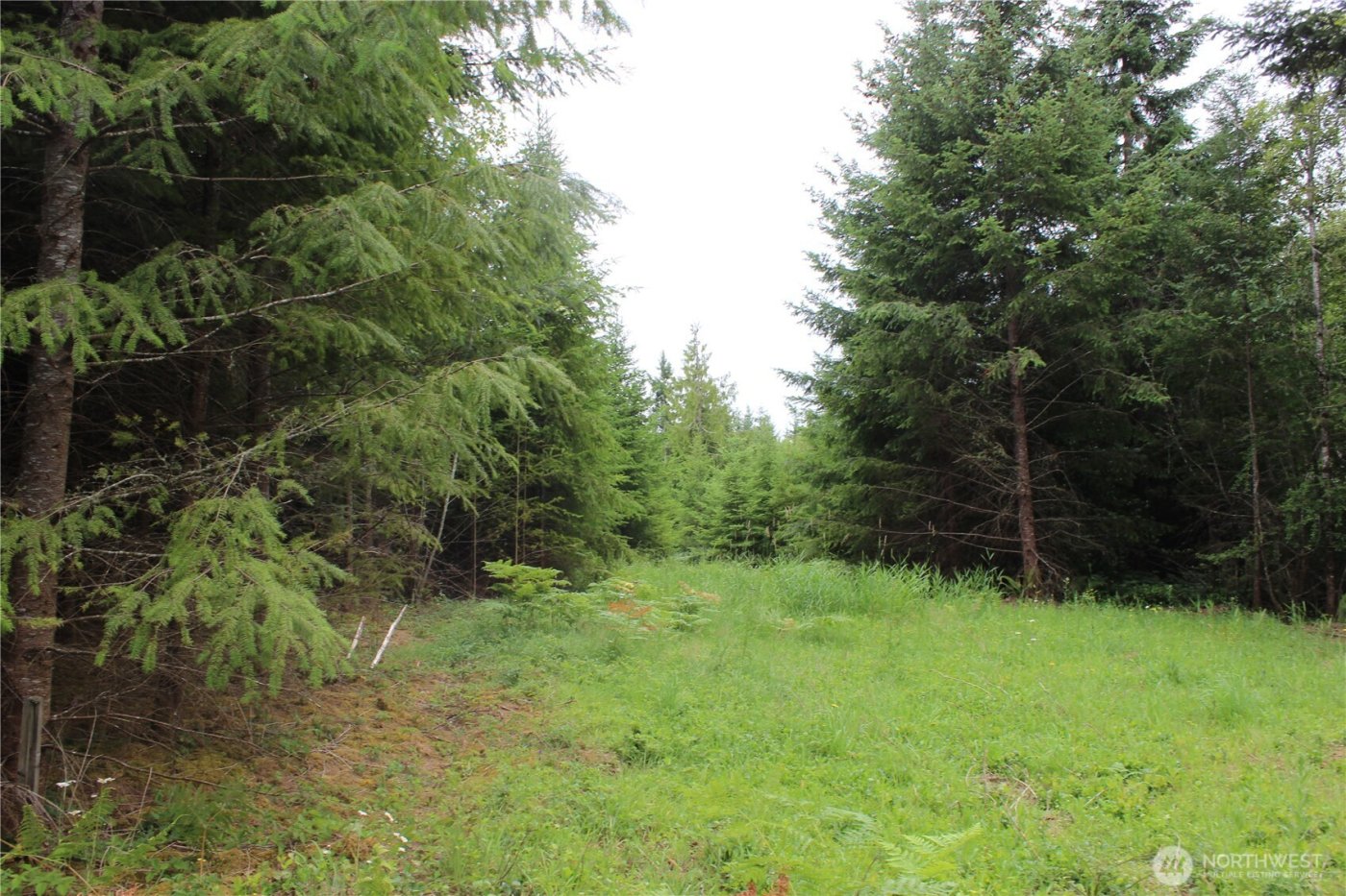 9605 Prather Road SW, Rochester, WA 98579