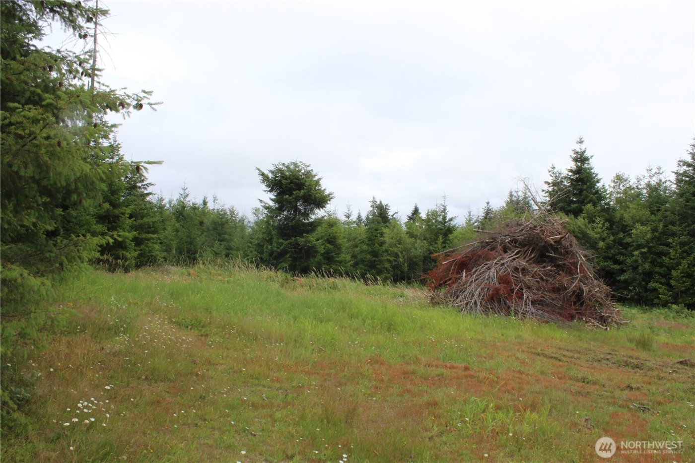 9605 Prather Road SW, Rochester, WA 98579