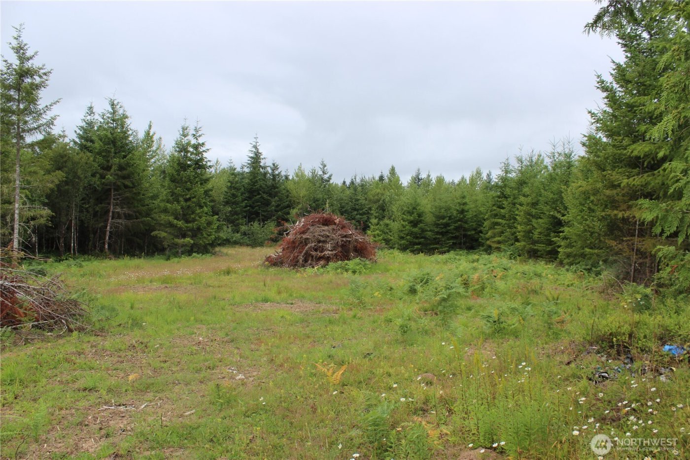 9605 Prather Road SW, Rochester, WA 98579