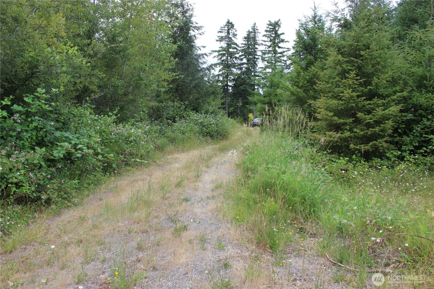 9605 Prather Road SW, Rochester, WA 98579