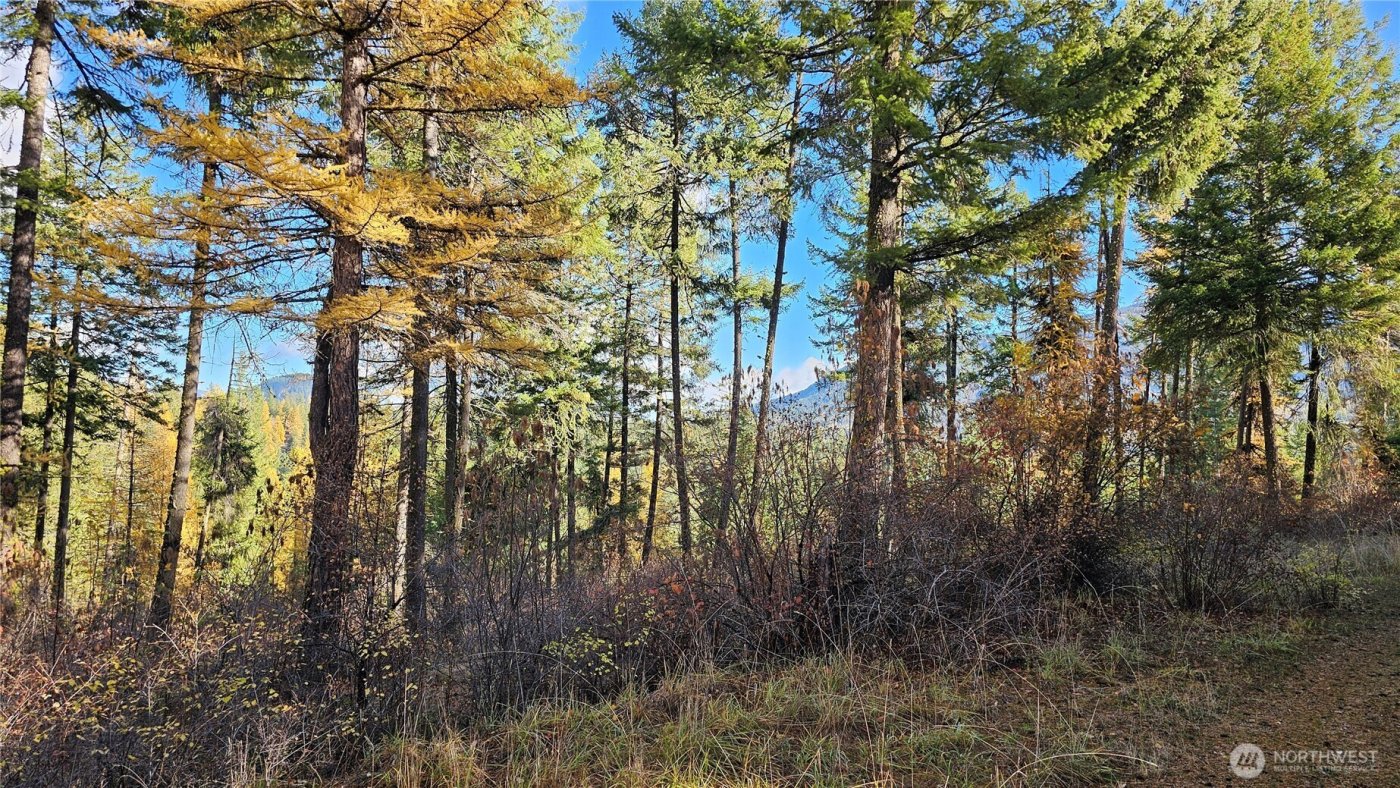 700 L Dry Gulch Road , Colville, WA 99114