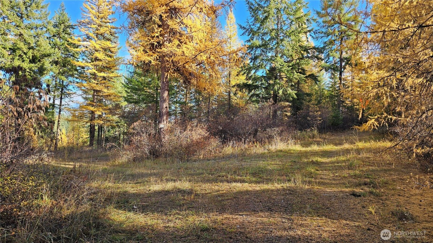 700 L Dry Gulch Road , Colville, WA 99114