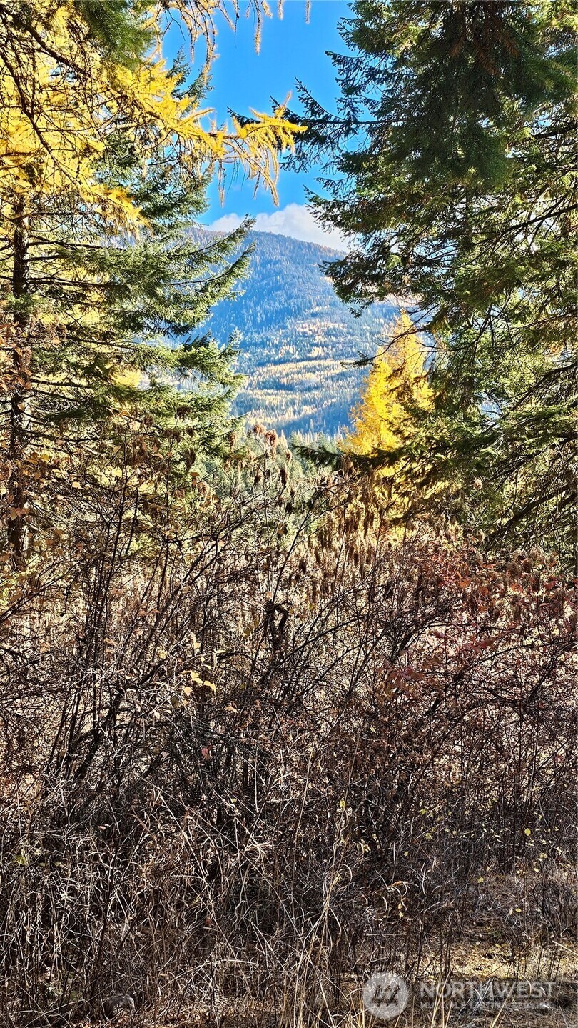 700 L Dry Gulch Road , Colville, WA 99114