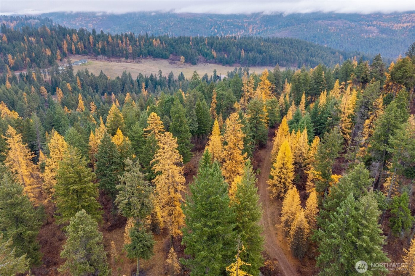 700 L Dry Gulch Road , Colville, WA 99114